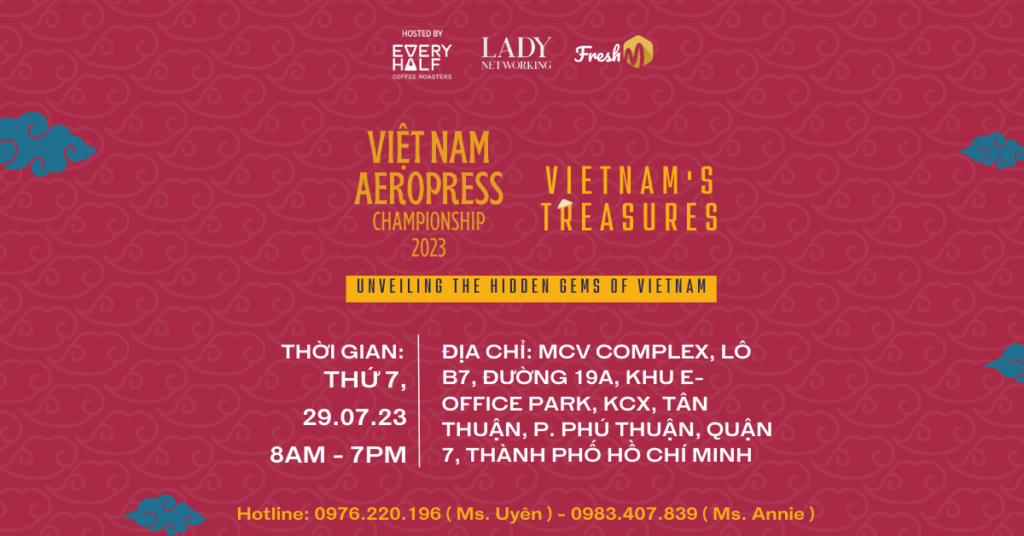 Lady_Networking_Viet_Nam_Aero_Press_18_07