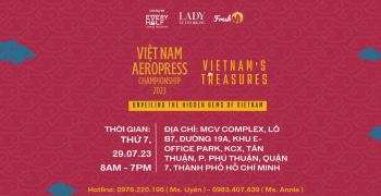 Lady_Networking_Viet_Nam_Aero_Press_18_07